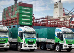 DIVISION LOGISTICA